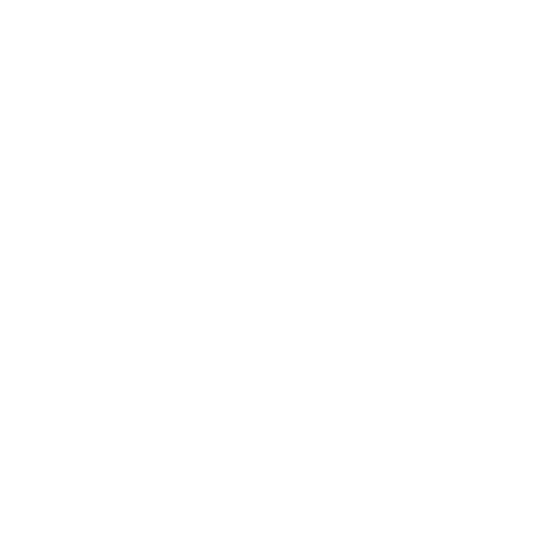 Sara Falugiani